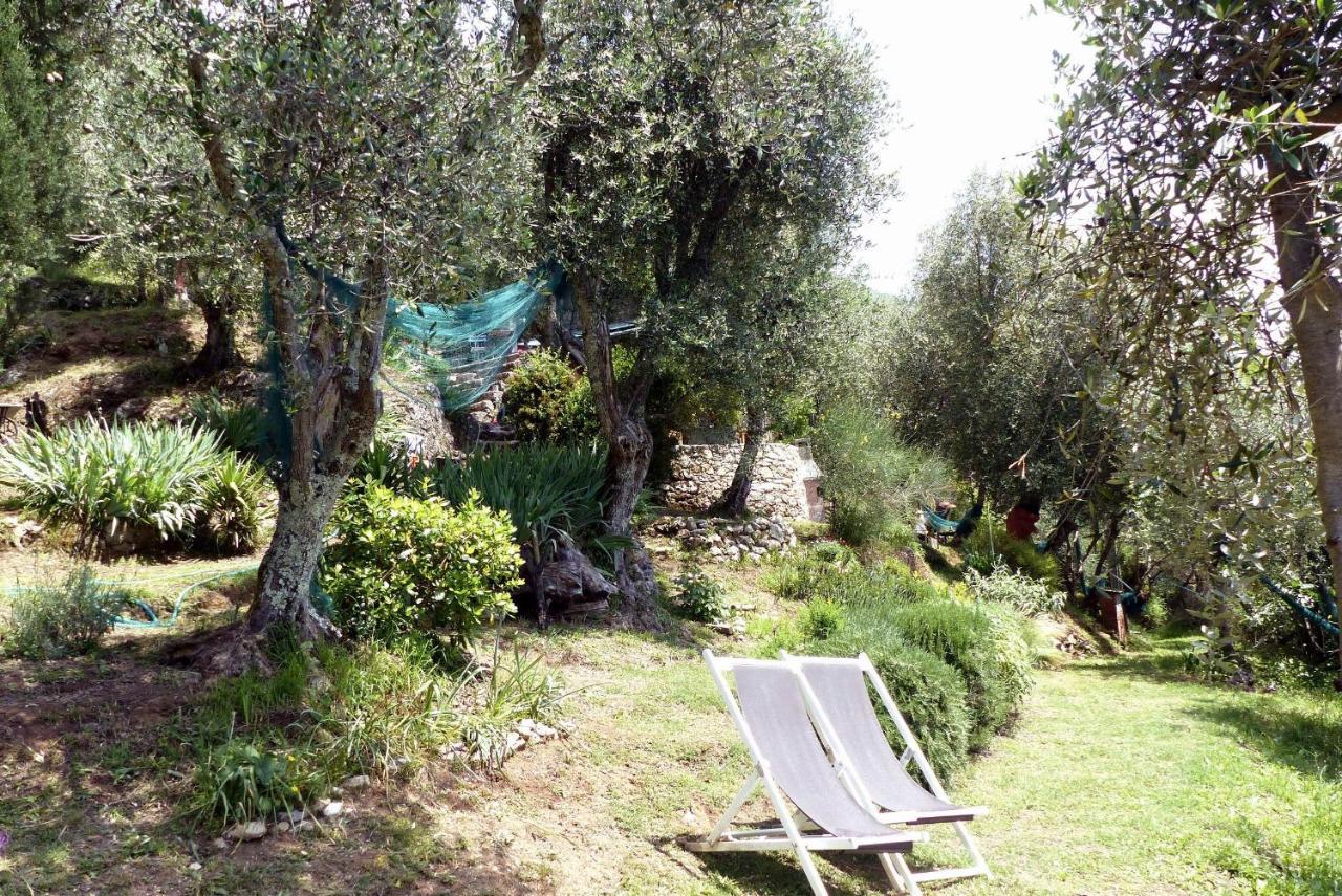 הוילה קמאיורה Il Giaggiolo מראה חיצוני תמונה